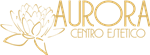 Aurora s.r.l - Via Gaffurio 20