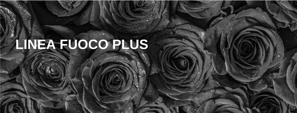 header 1