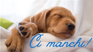 Torna a trovarci...