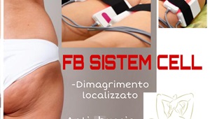 FB SYSTEM CELL 