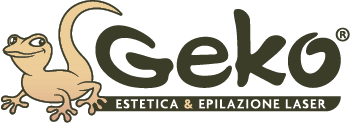 Geko - Savona
